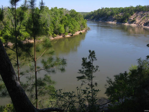 Impact Analysis and Hydrologic Modeling of the Apalachicola, Chattahoochee, and Flint Rivers